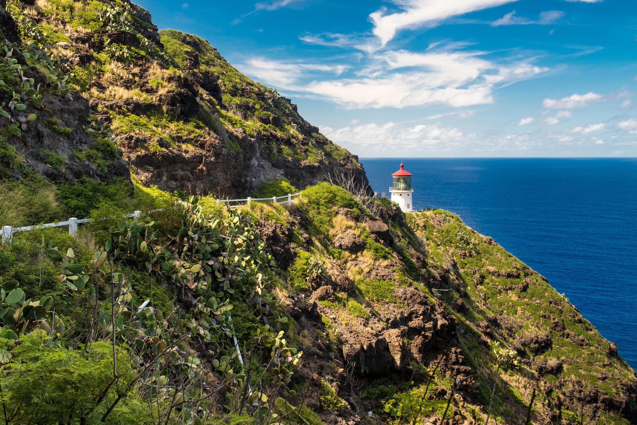 Go City Oahu All-Inclusive Pass: Save up to 50% on Attractions - image 17