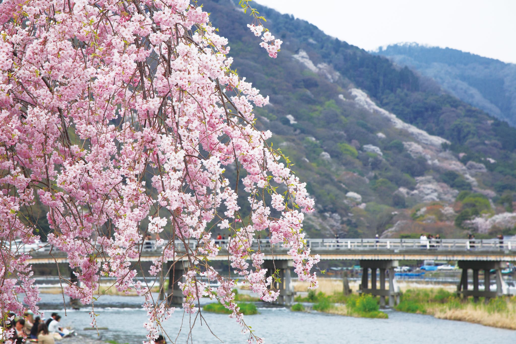 COMBO: Osaka Amazing Pass + Hankyu Pass - image 9
