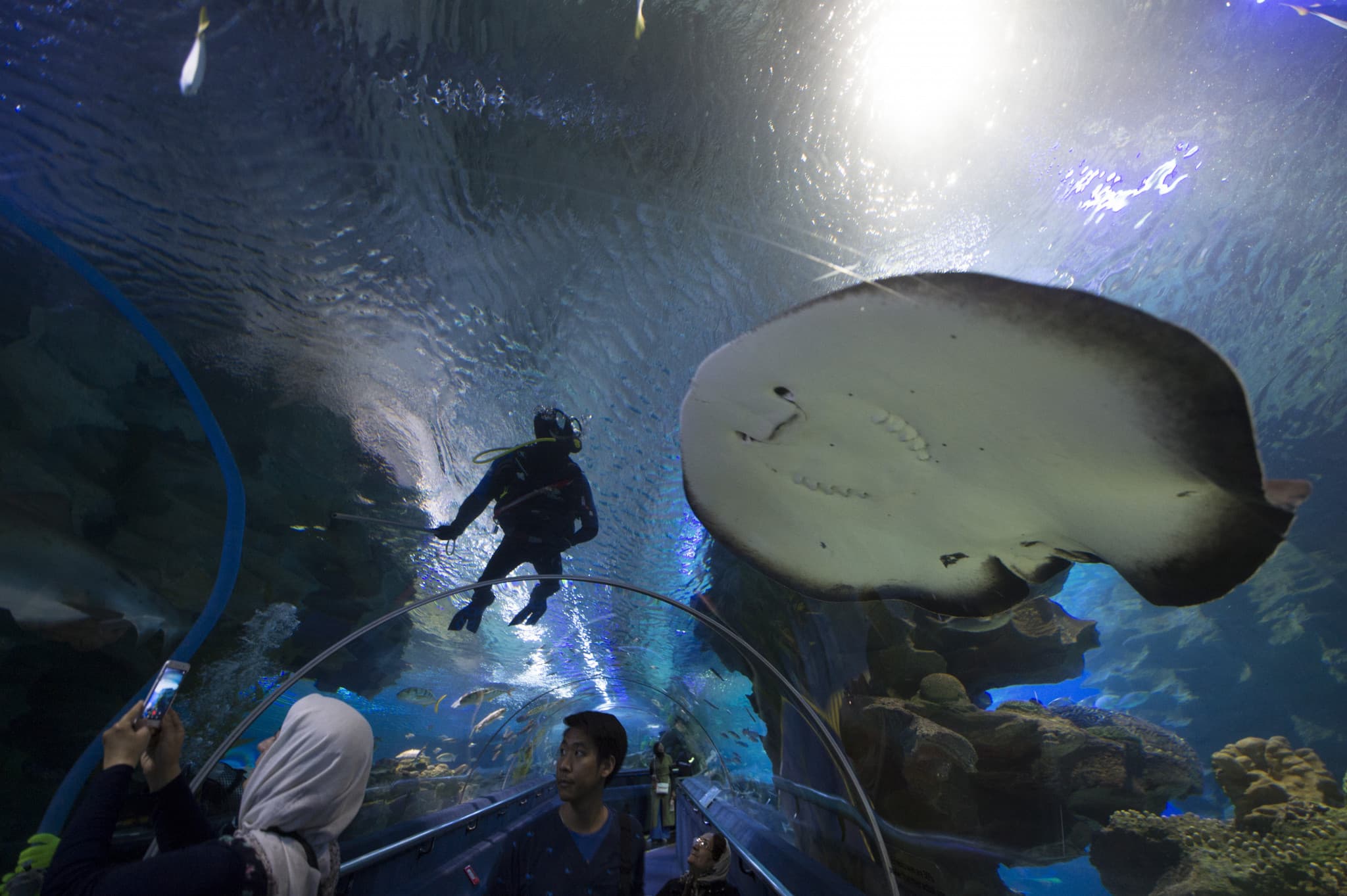 COMBO: KL Hop-on Hop-off Sightseeing Bus Tour + Aquaria KLCC Ticket - image 3