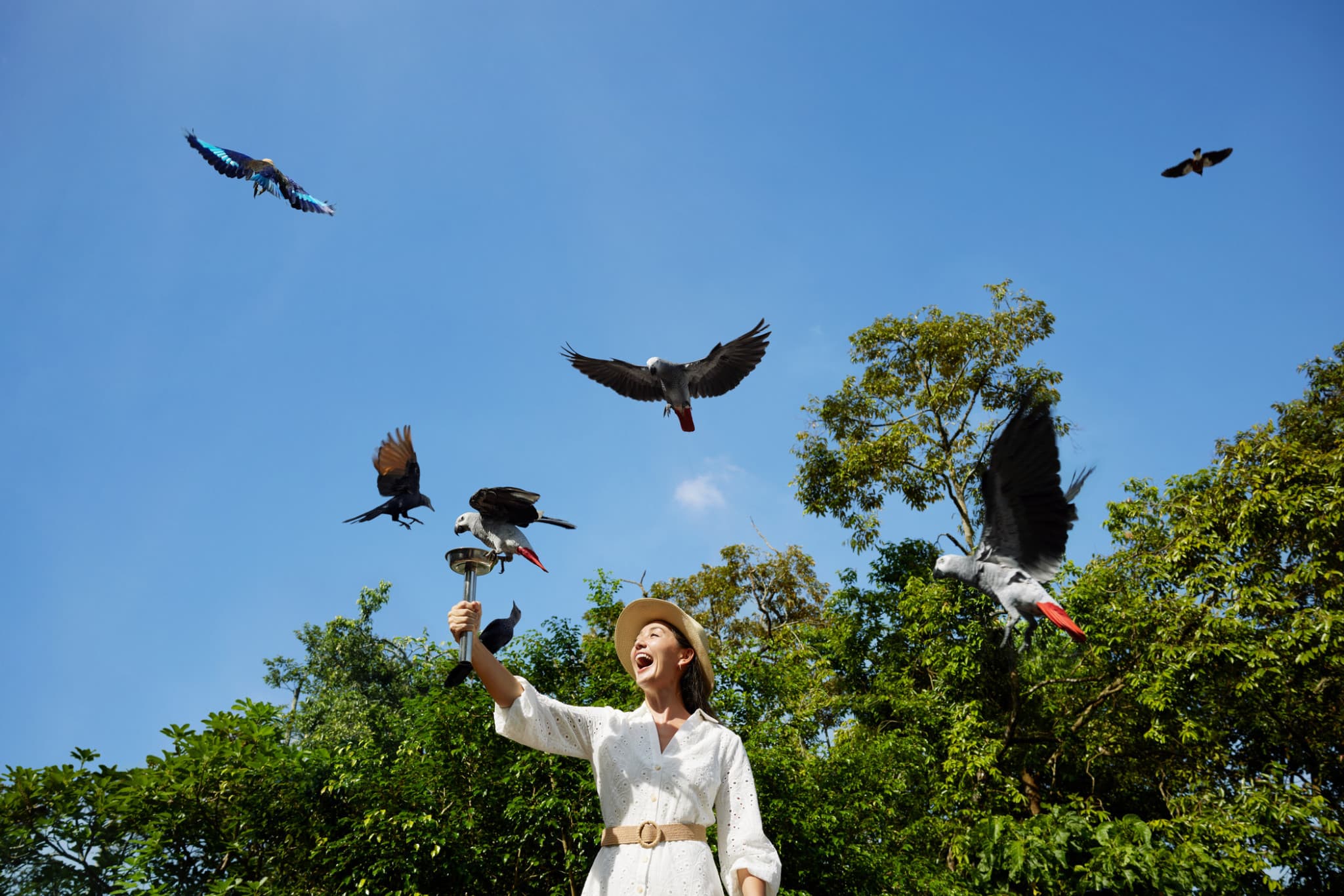Mandai Destination Pass: Up to 2 Attractions in 1 Day - image 17