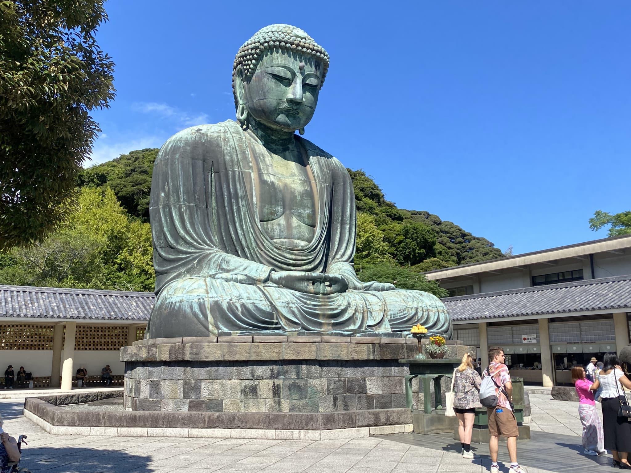 Mount Fuji, Kamakura, Lake Ashi, and Big Buddha Full-Day Tour from Tokyo - image 4