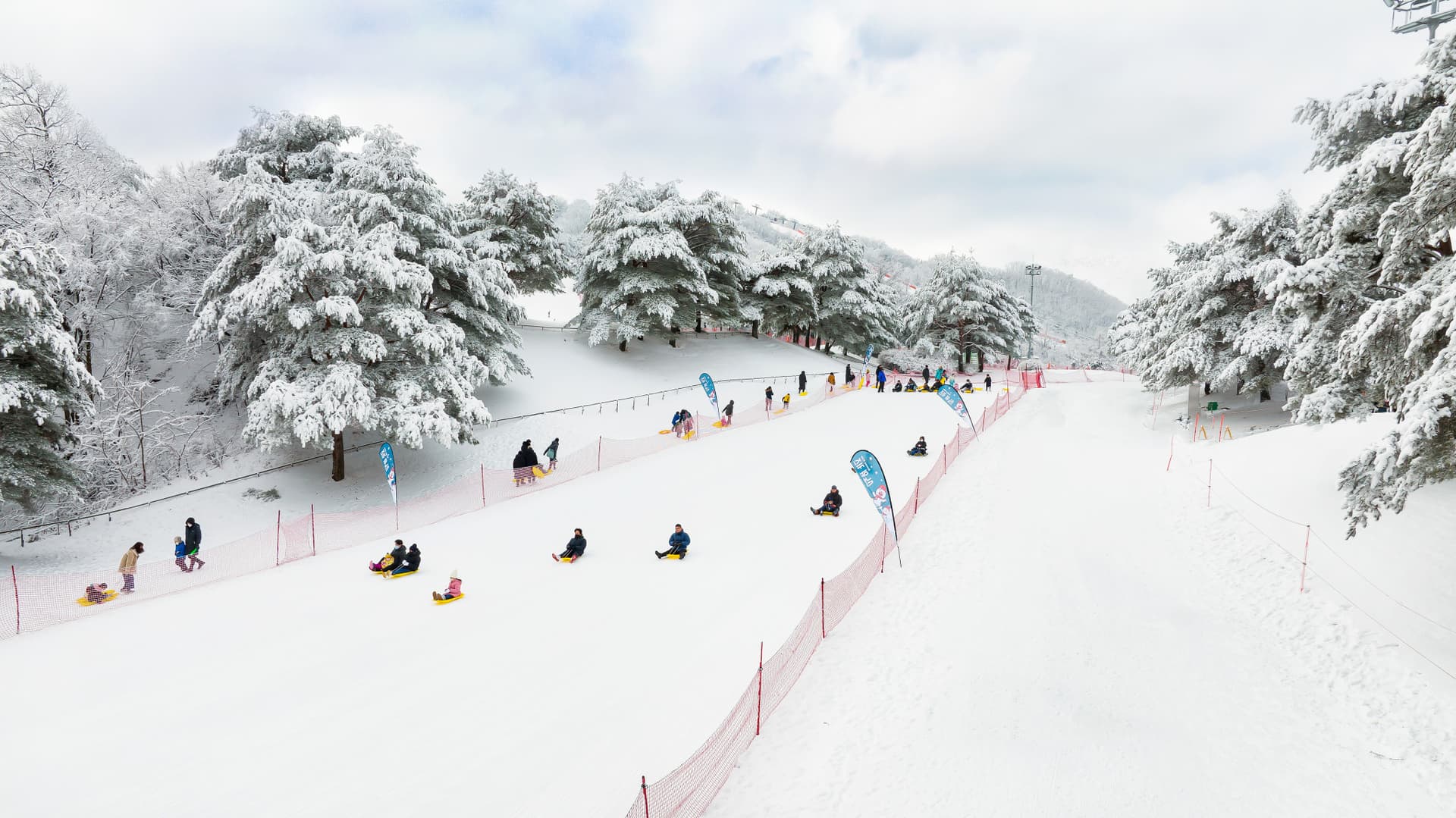 Tour de un día desde Seúl: esquí de invierno en Vivaldi Park y valle helado de Eobi - imagen 14
