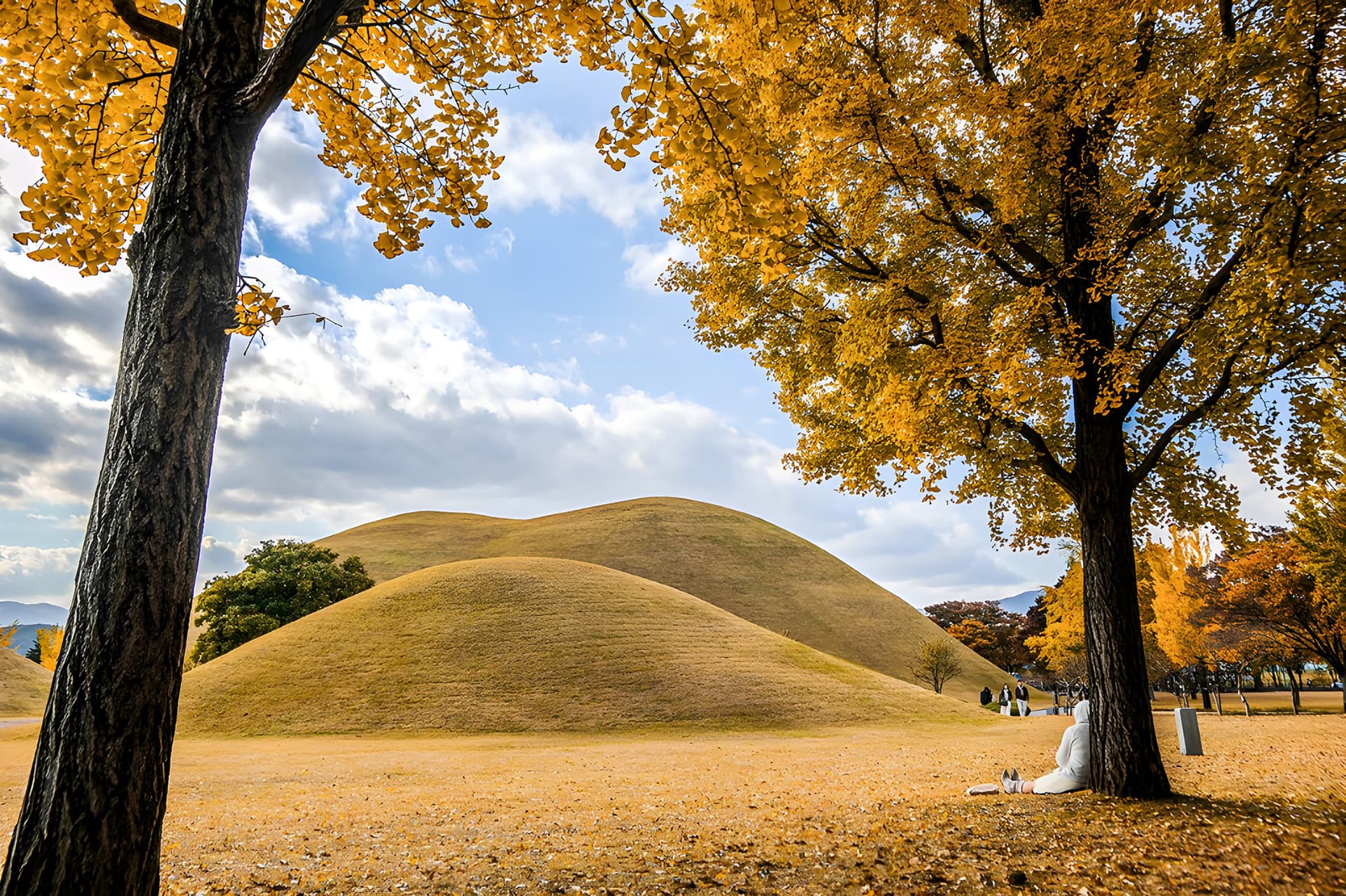 Tour de un día para admirar el follaje otoñal de Gyeongju desde Busan - imagen 5