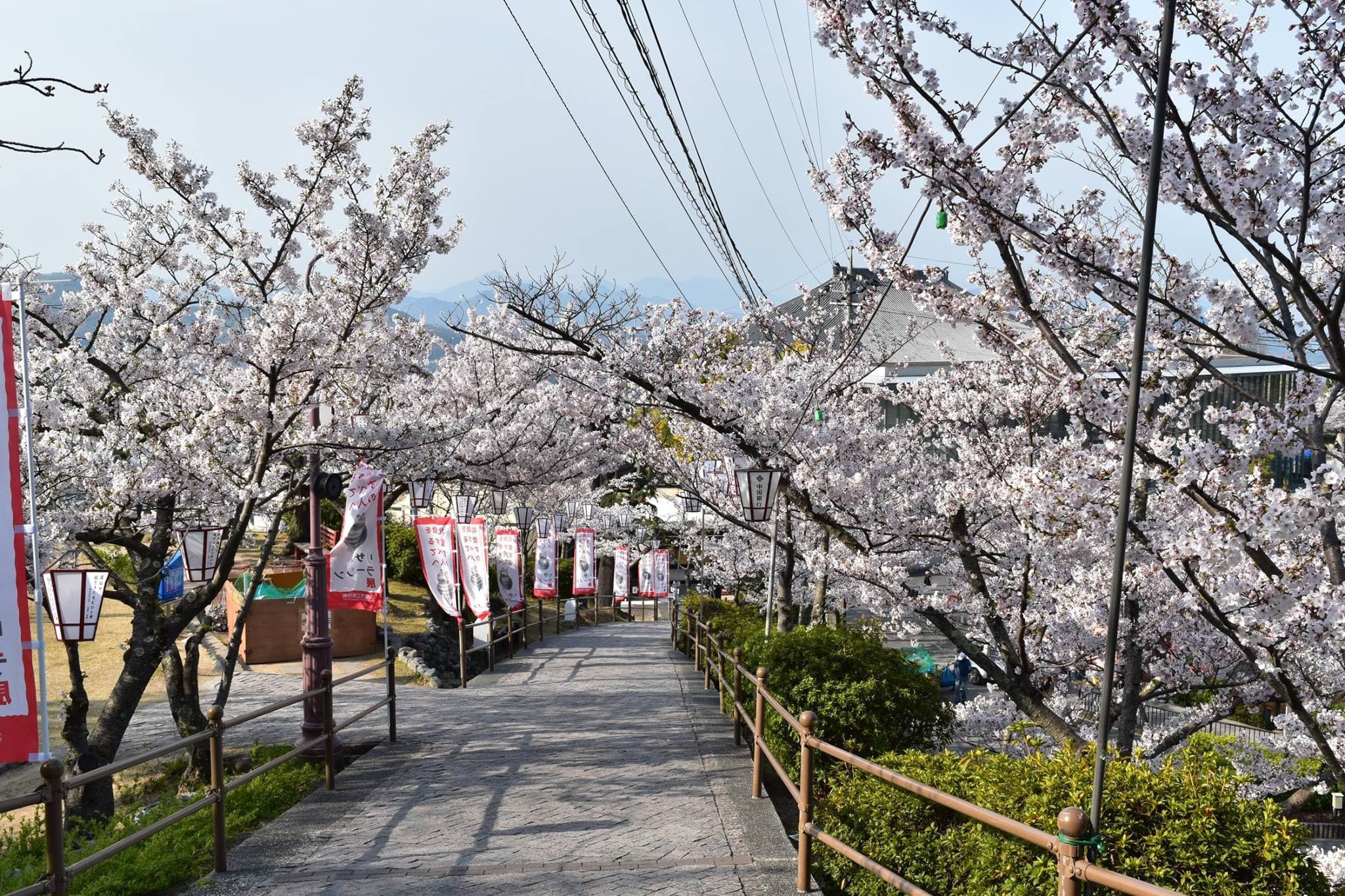 Mt. Senkoji Ropeway - image 7