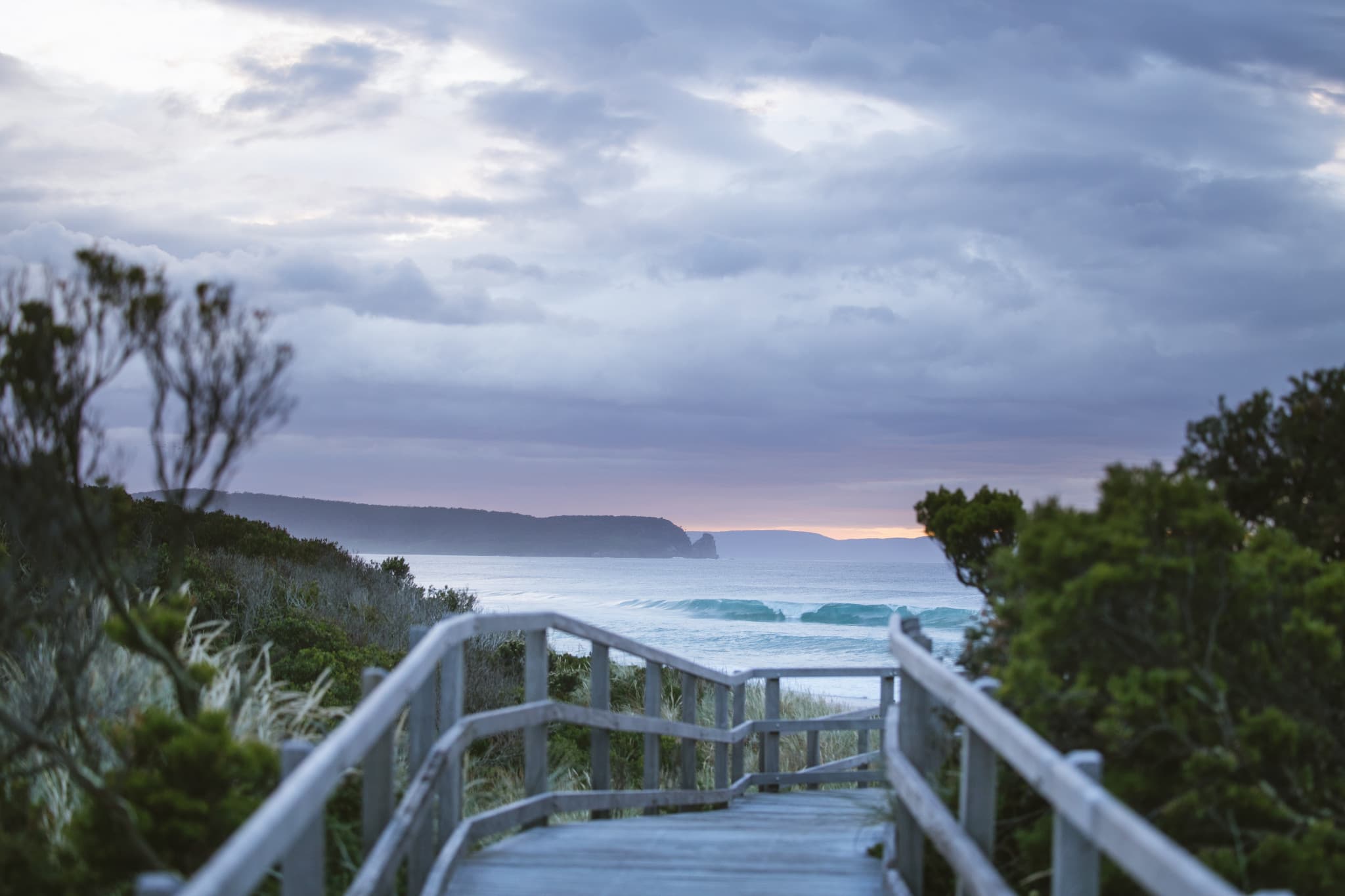 Bruny Island Full-Day Tour from Hobart - image 4