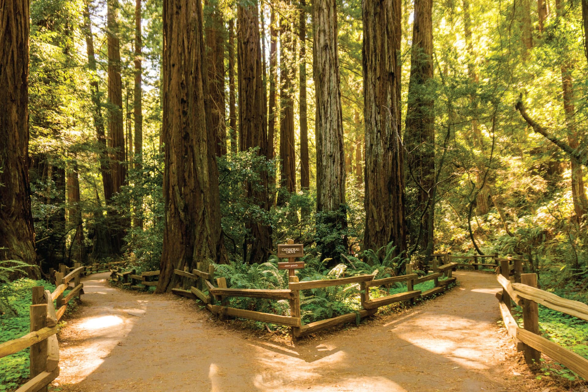 San Francisco Woods & Wine Country Full-Day Tour - image 2
