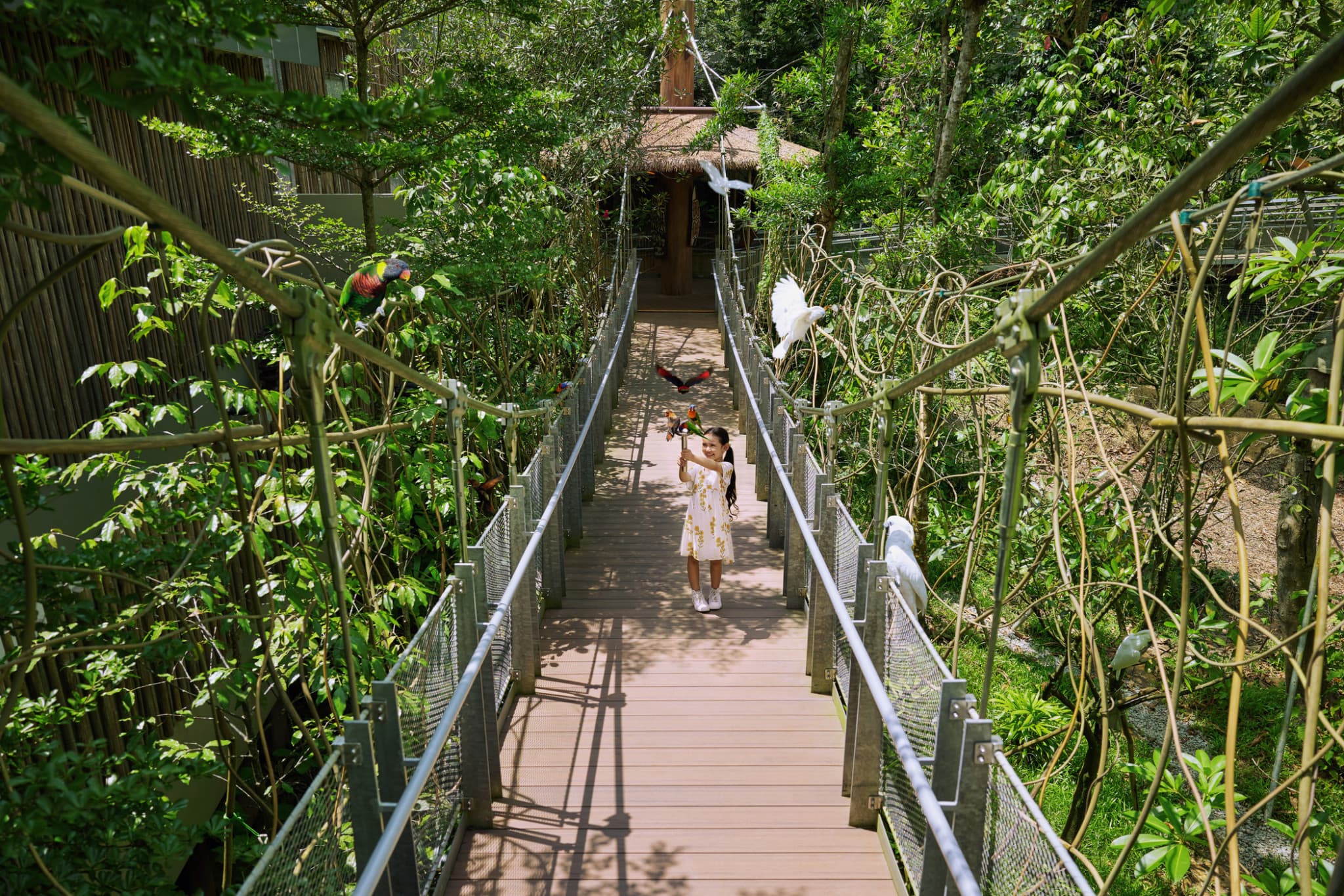 Mandai Destination Pass: Up to 2 Attractions in 1 Day - image 16