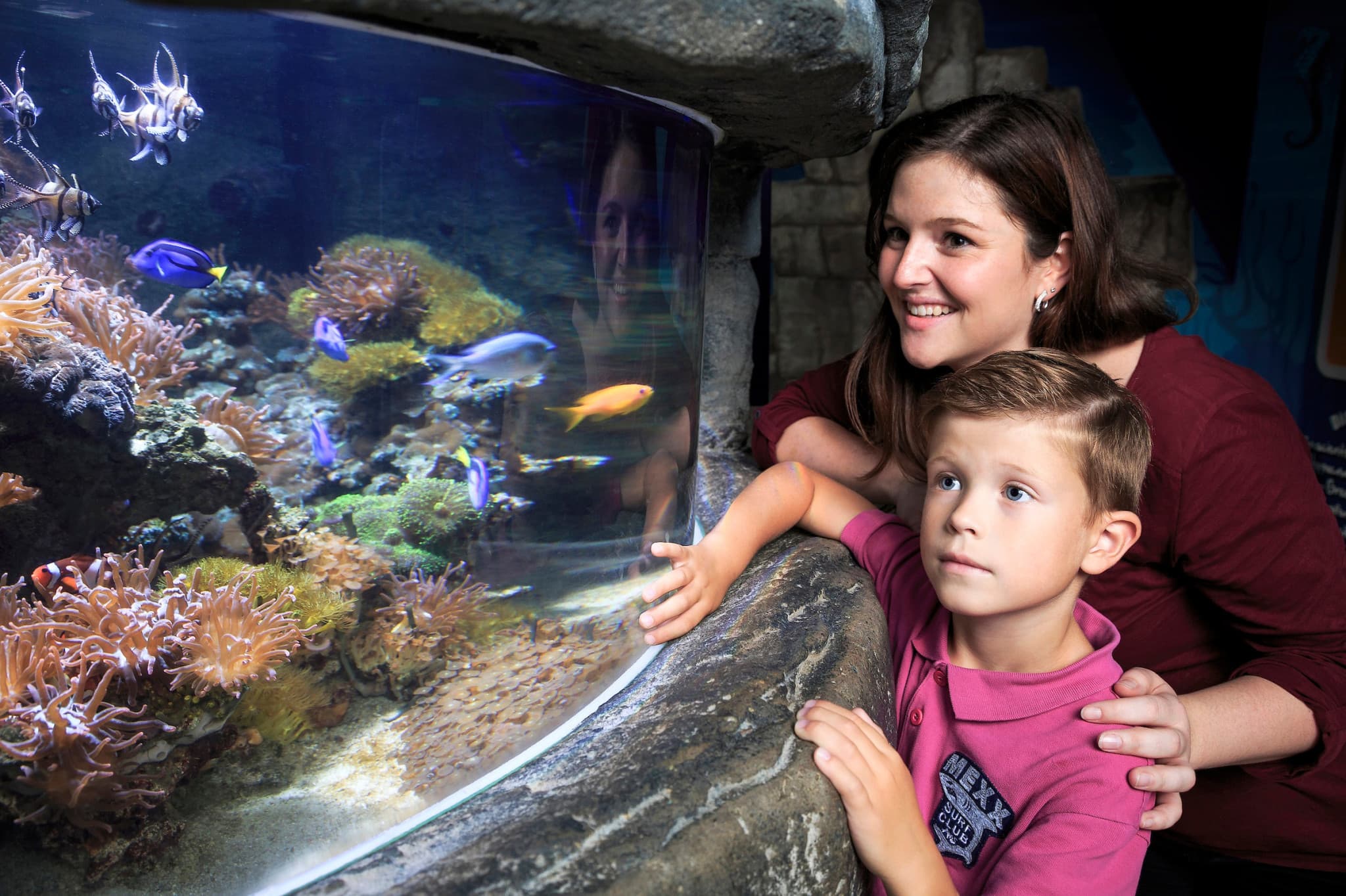 SEA LIFE Timmendorfer Strand Aquarium Ticket - image 3