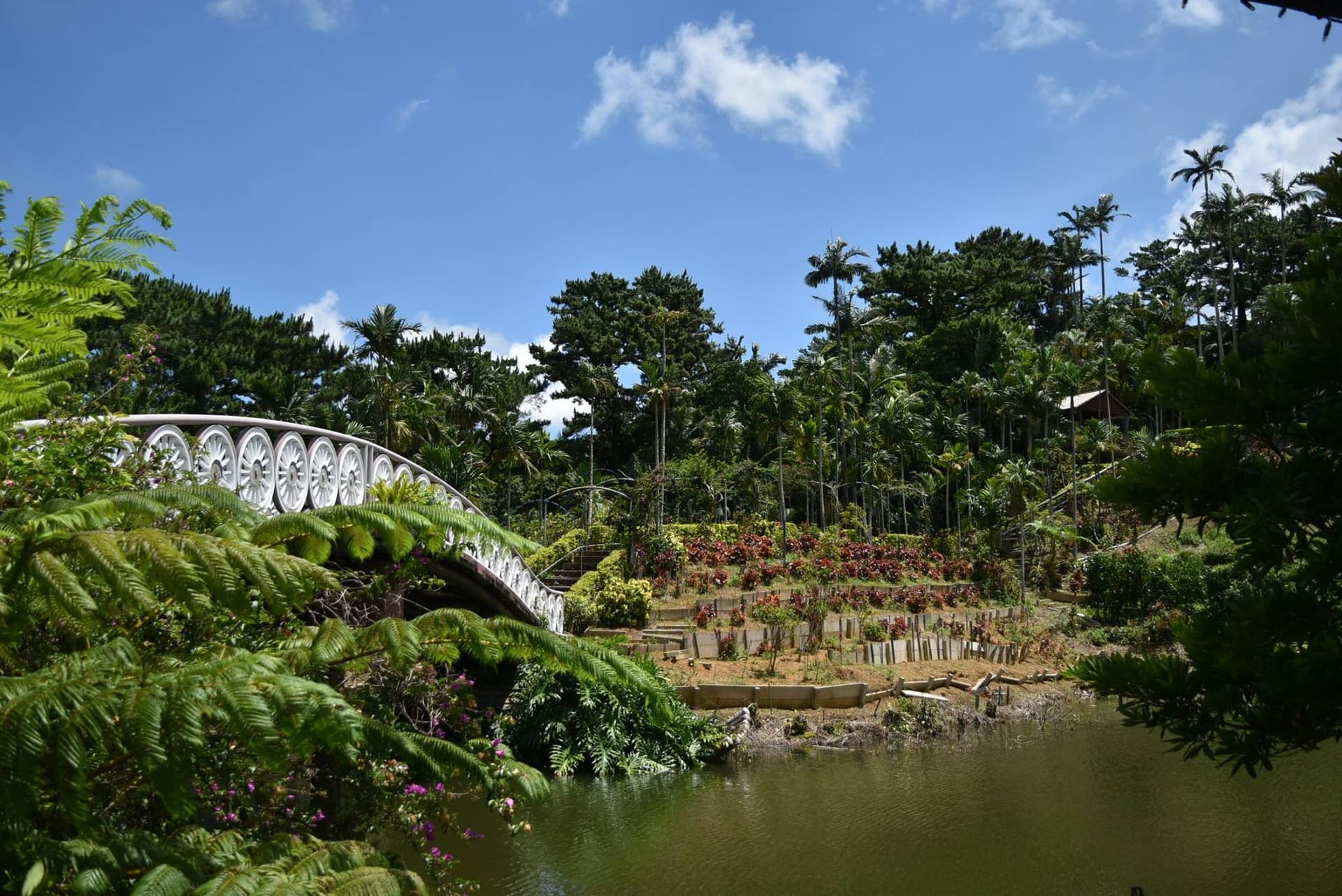 Okinawa Southeast Botanical Gardens - image 37