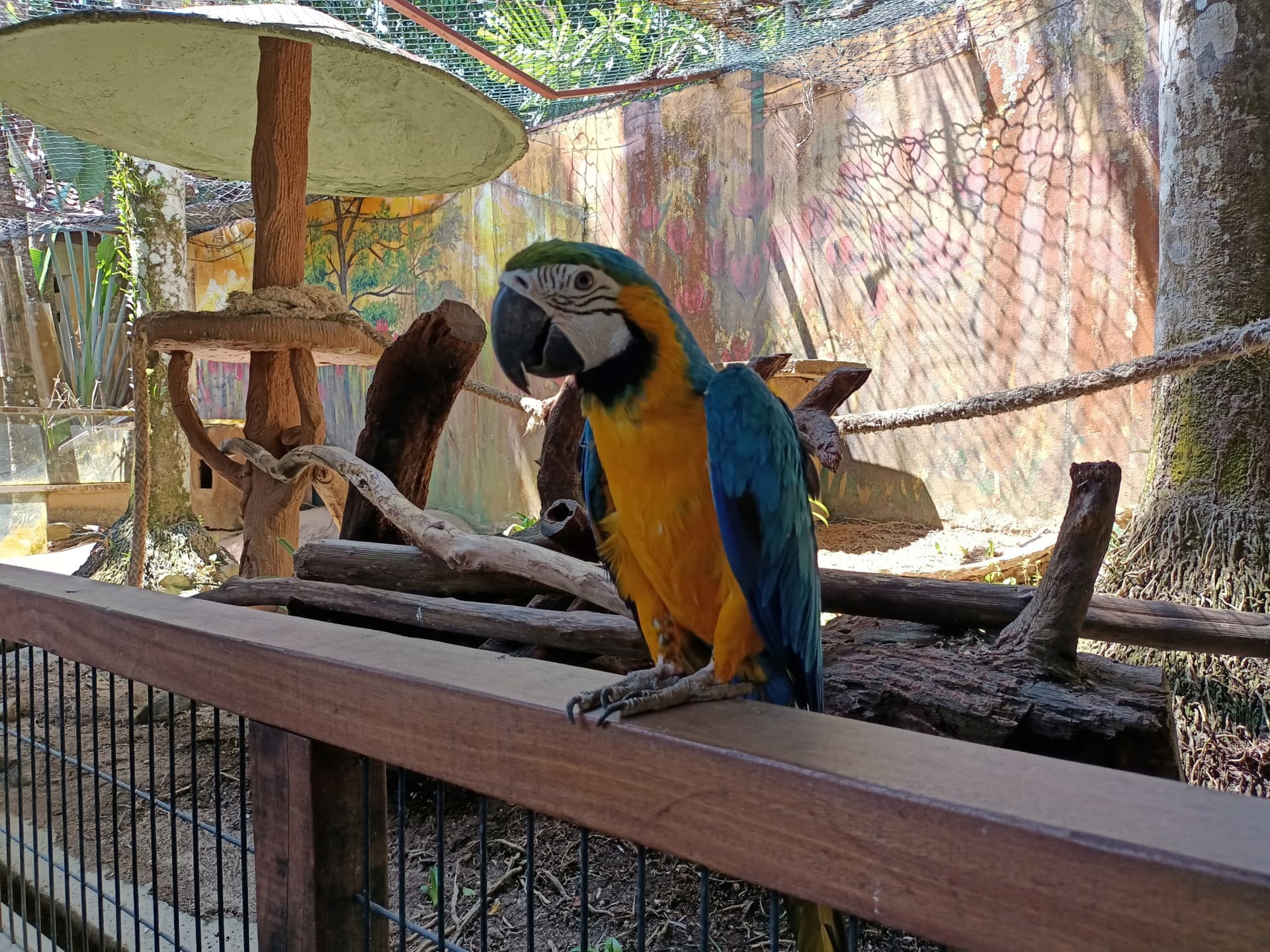 Langkawi Wildlife Park - imagen 7