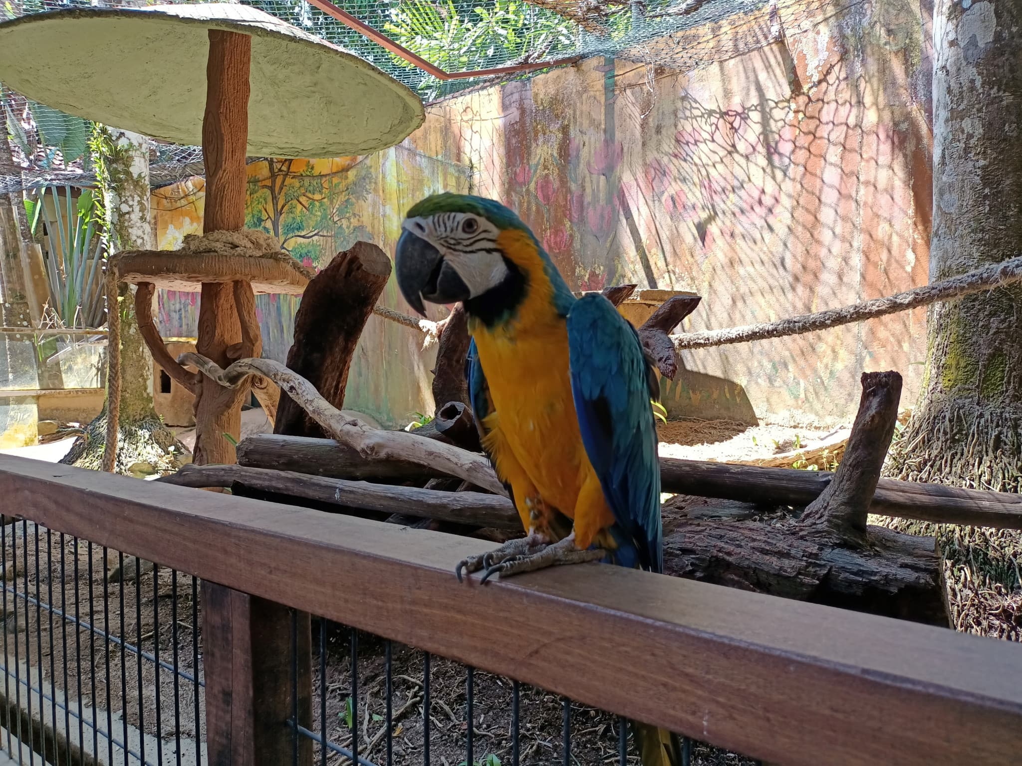 Langkawi Wildlife Park - image 7
