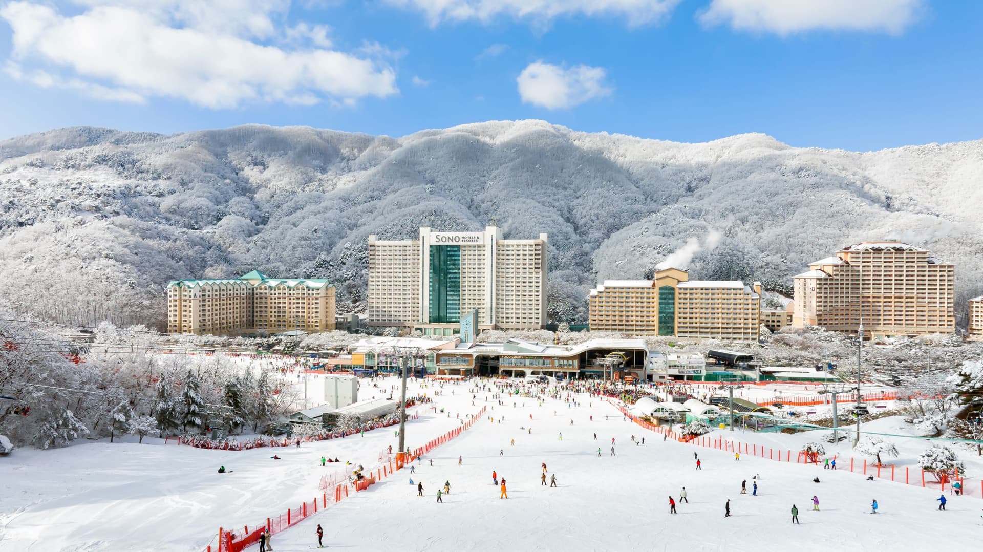 Tour de un día desde Seúl: esquí de invierno en Vivaldi Park y valle helado de Eobi - imagen 4