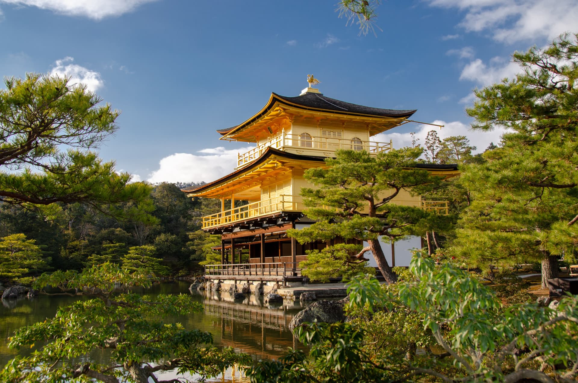 Kyoto and Nara Full-Day Tour from Kyoto - image 2