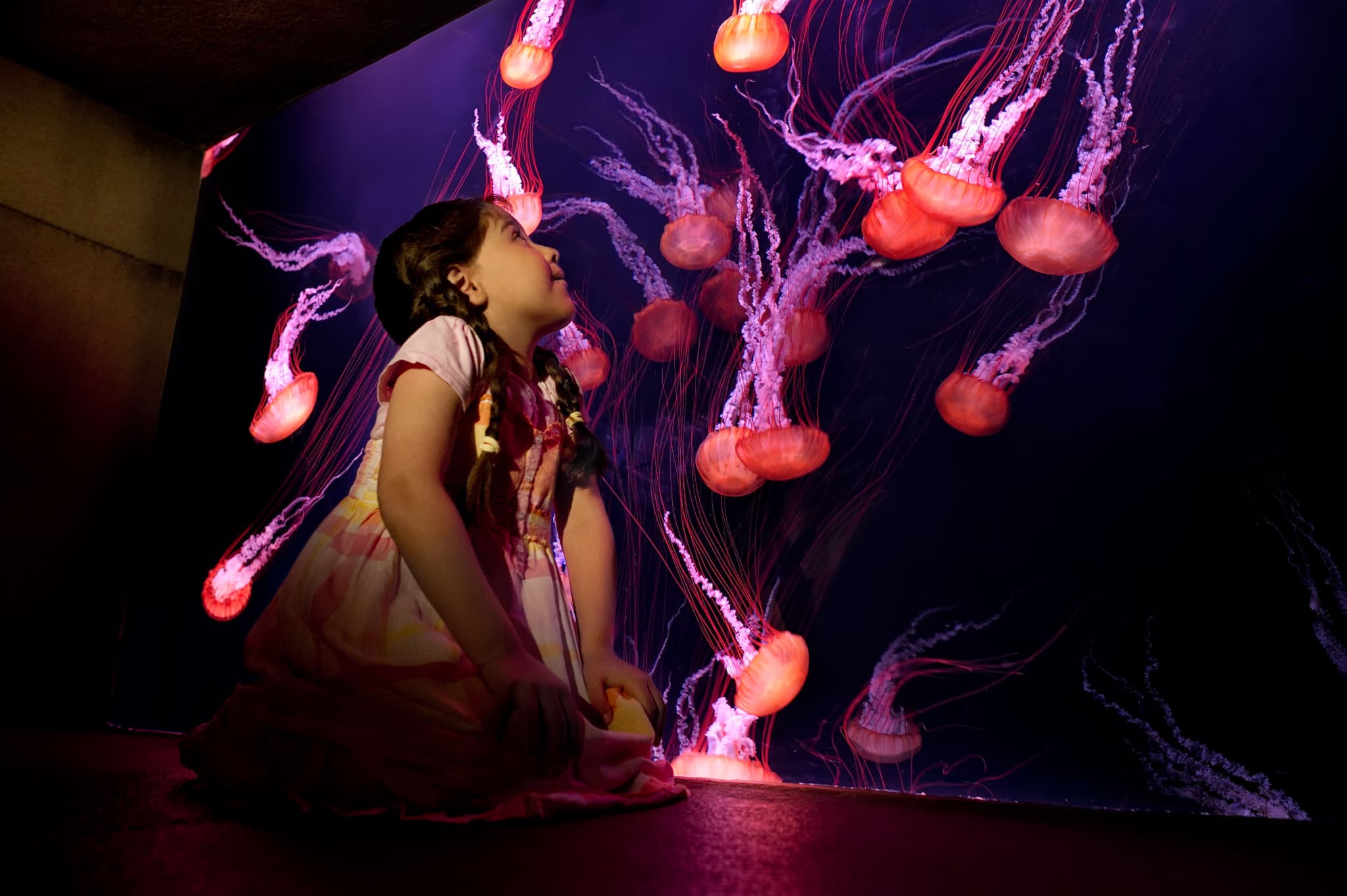 Atlantis Dubai Ticket - image 19