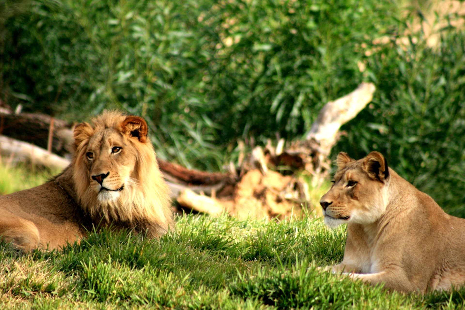 Go City Philadelphia Explorer Pass: Save up to 50% on Attractions - image 12