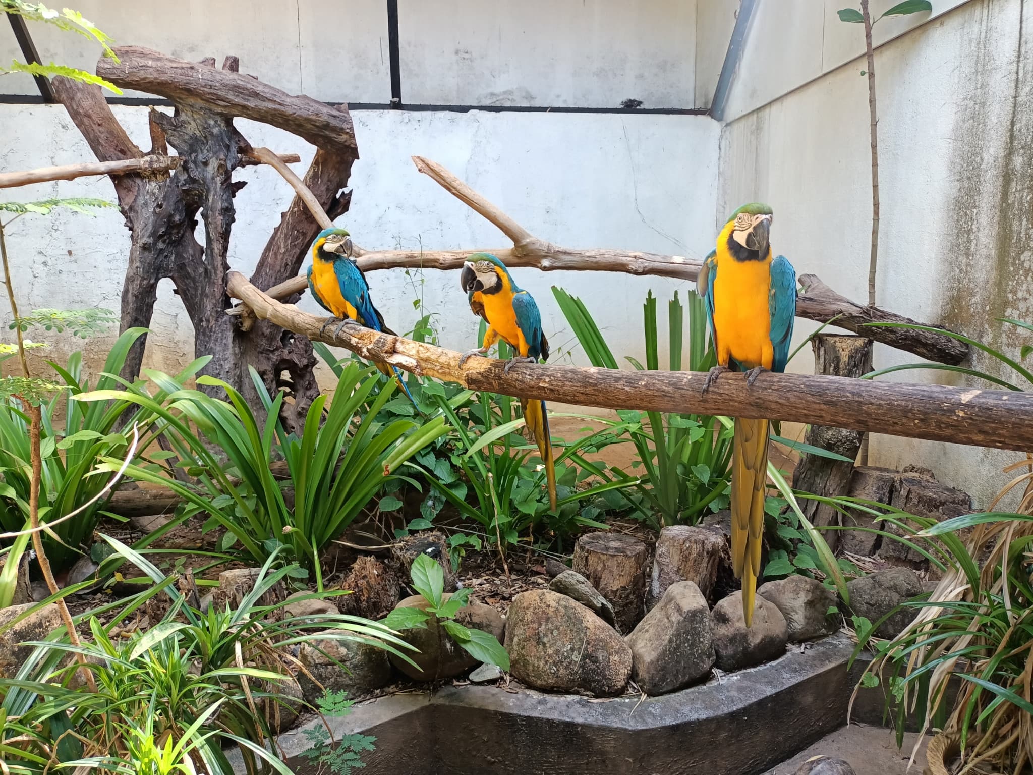 Langkawi Wildlife Park - image 20