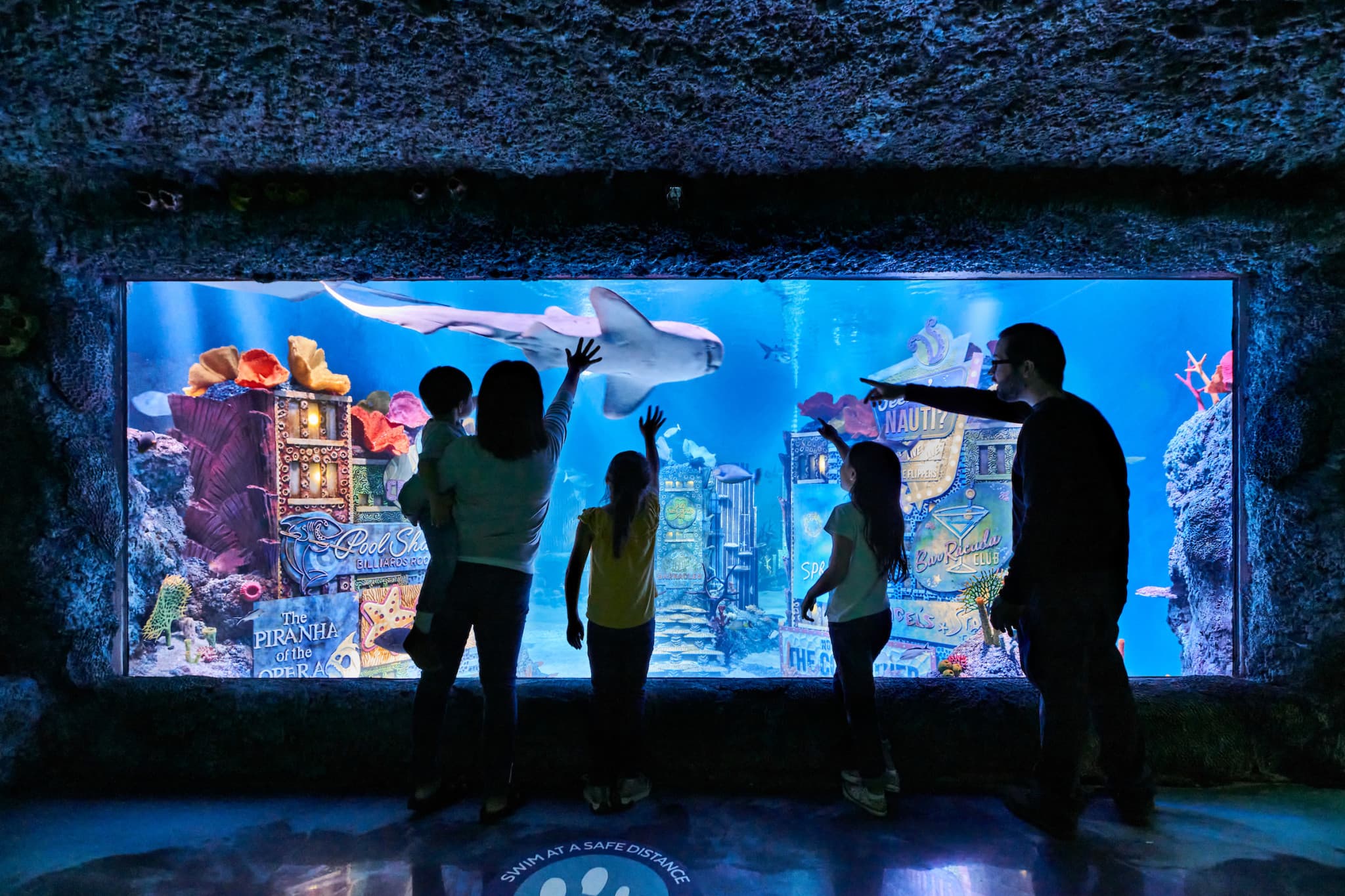 SEA LIFE New Jersey Aquarium Ticket - image 2