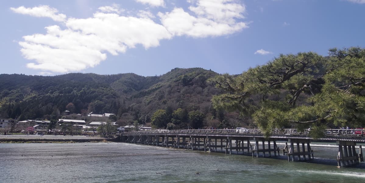 Kyoto Food and Drink Tour - Arashiyama - image 8