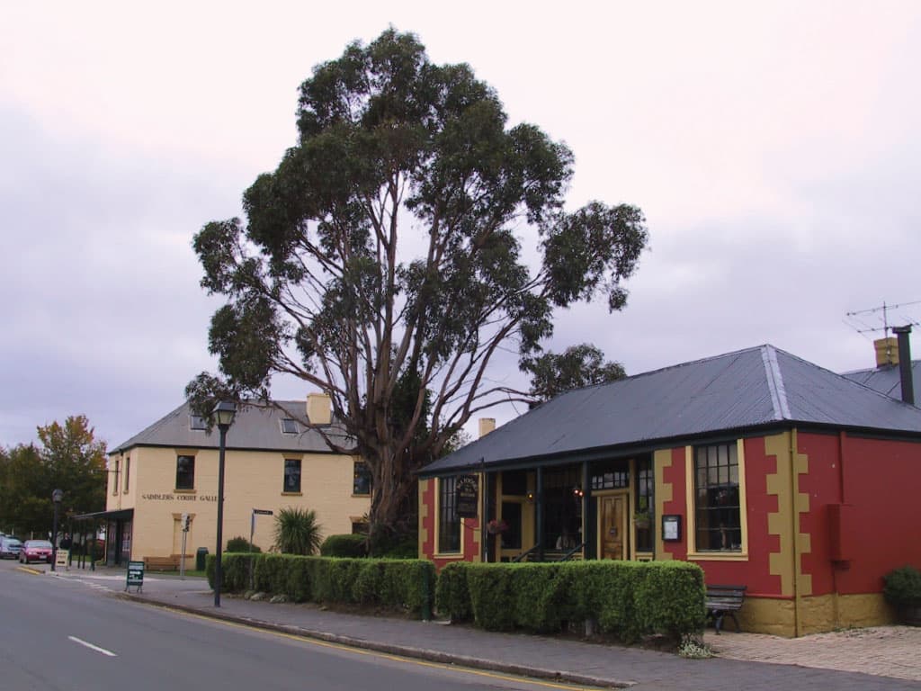 Richmond Village and Bonorong Wildlife Sanctuary Tour - image 9