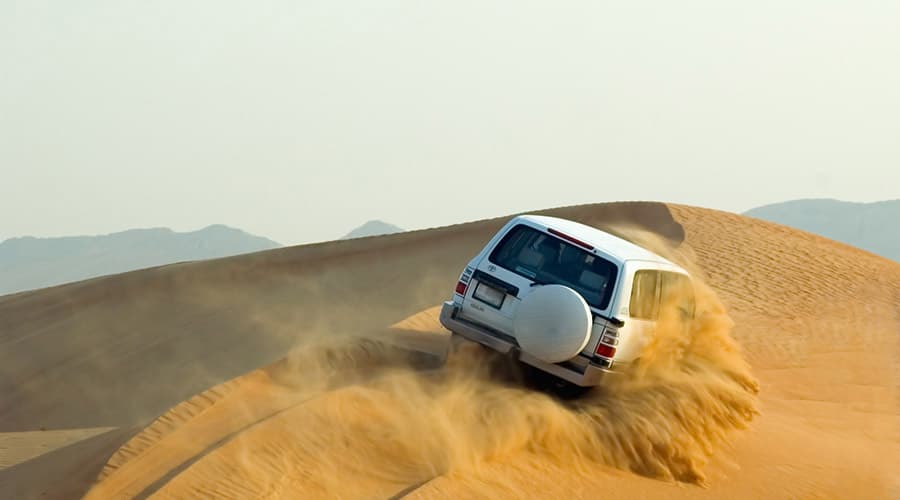 Morning Desert Safari Tour from Dubai - image 2
