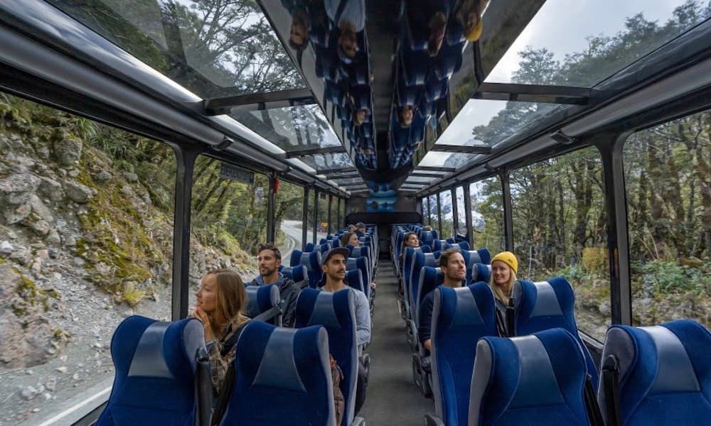 Autobús y crucero a Milford Sound desde Te Anau - imagen 3