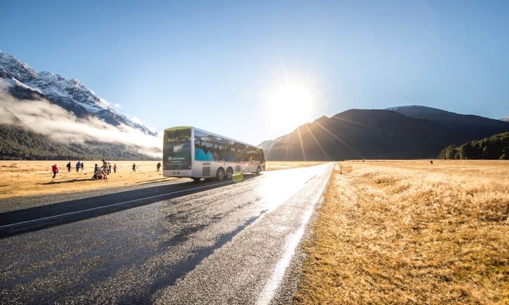 Autobús y crucero a Milford Sound desde Te Anau - imagen 4