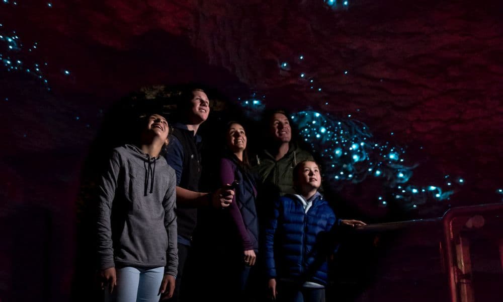 Te Anau Glowworm Caves Tour - image 3