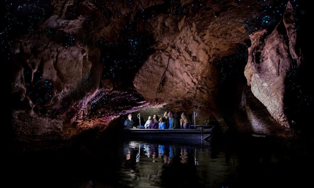 Te Anau Glowworm Caves Tour - image 2
