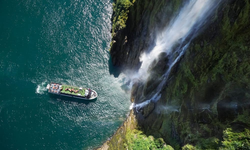 Autobús y crucero a Milford Sound desde Te Anau - imagen 2