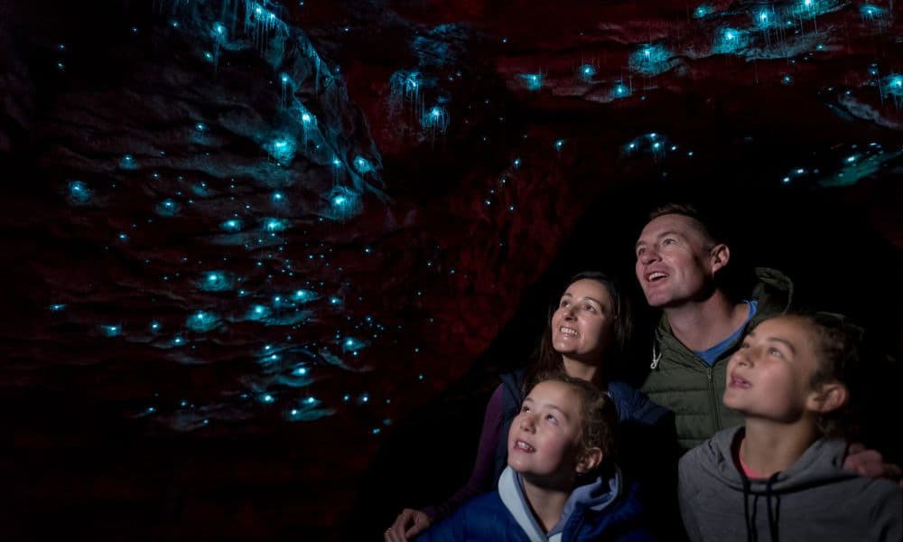 Te Anau Glowworm Caves Tour - main image