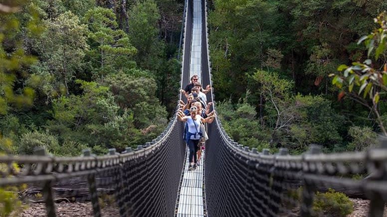 Tahune AirWalk Ticket - main image
