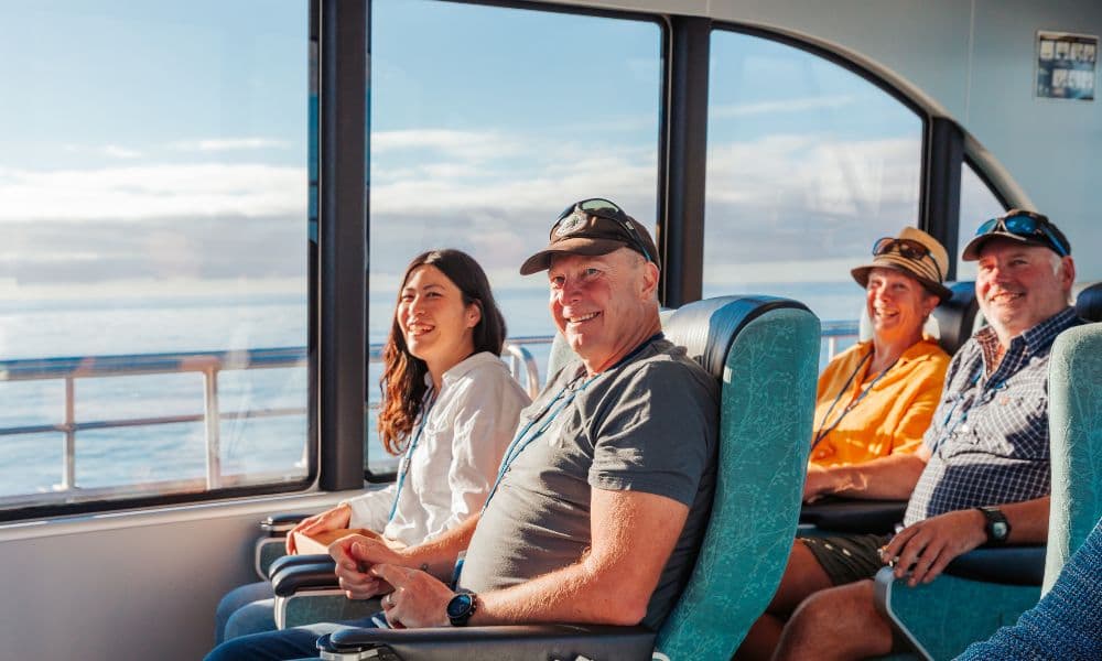 Whale Watching Cruise Kaikoura - image 5