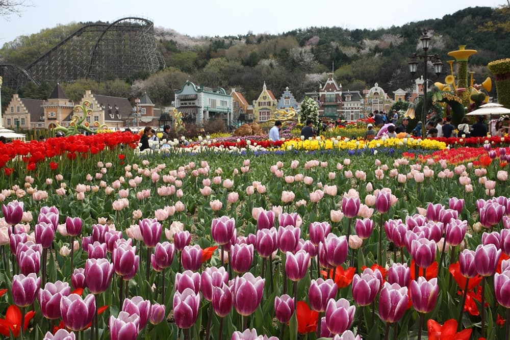 Everland Theme Park Ticket - image 21