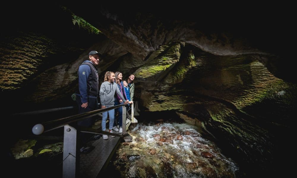 Te Anau Glowworm Caves Tour - image 7